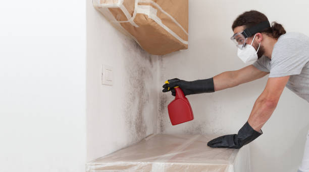 Professional Bathroom Mold Removal technician working in Du Bois, PA