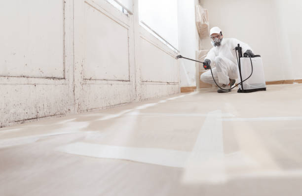 24/7 Emergency Bathroom Mold Removal experts in Du Bois, PA