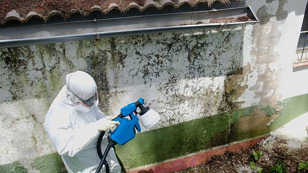 Top rated local Bathroom Mold Removal specialists in Du Bois, PA
